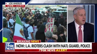 Democratic leadership is 'pushing people' to attack ICE, says RNC chair - Fox News