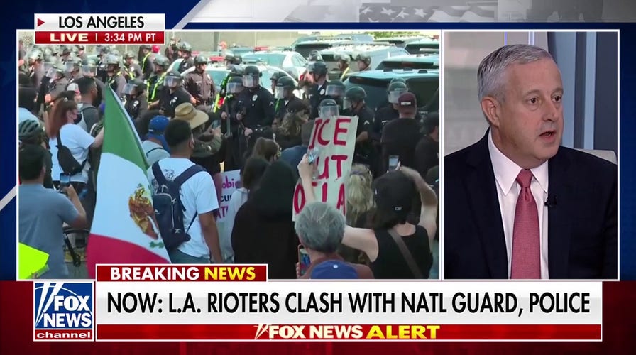 Democratic leadership is 'pushing people' to attack ICE, says RNC chair