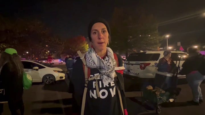 Pro-Palestinian demonstrator says protests are peaceful, police are acting 'violently'