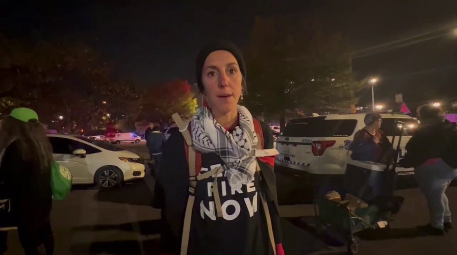 Pro-Palestinian demonstrator says protests are peaceful, police are acting 'violently'