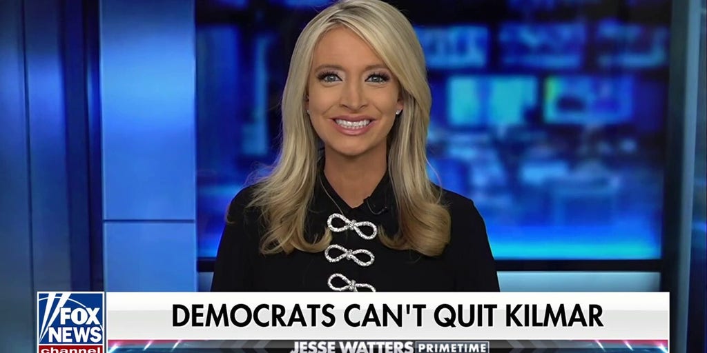 DNC should mean 'defending non-citizens,' says Kayleigh McEnany
