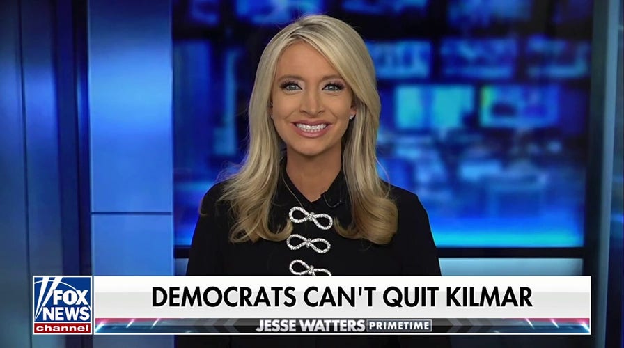 DNC should mean 'defending non-citizens,' says Kayleigh McEnany