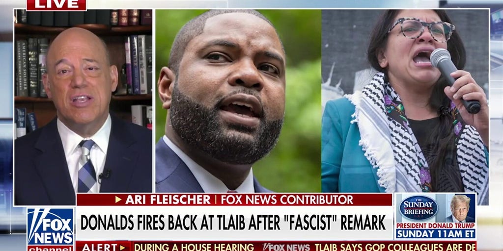 America must 'lower the temperature' after 'fascist' remark, former White House press sec says