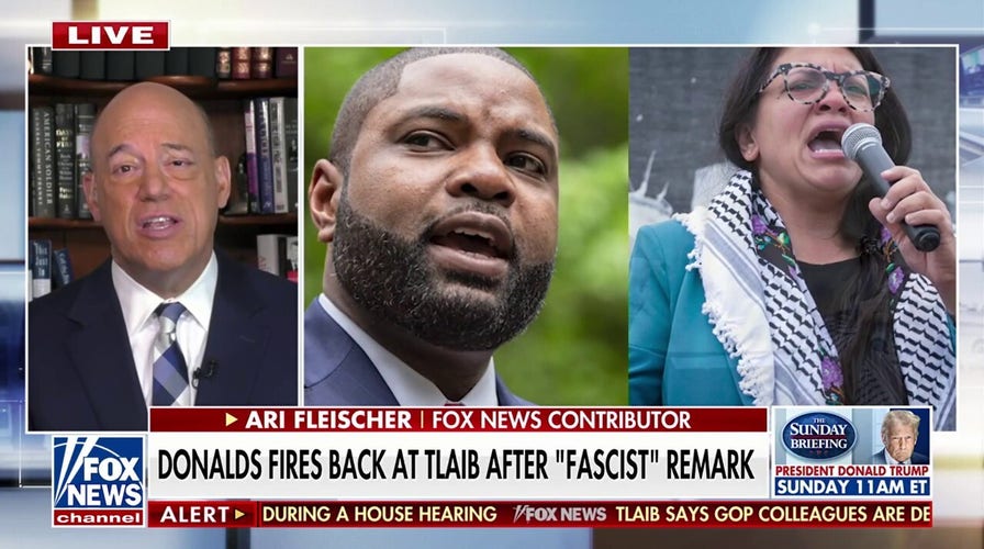 America must 'lower the temperature' after 'fascist' remark, former White House press sec says