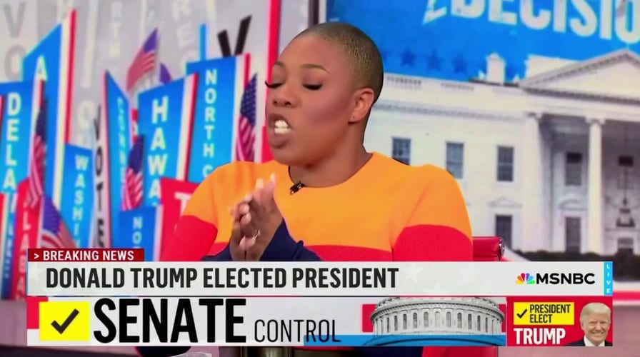 MSNBC host calls out Democrats for not using Biden effectively in his hometown: 'Public stab fest'