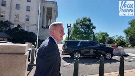'Try everything he can': Former Speaker McCarthy supports Trump push for SAVE America Act