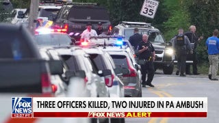 Domestic violence call escalates into brutal ambush, killing 3 officers in Pennsylvania