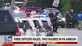 Domestic violence call escalates into brutal ambush, killing 3 officers in Pennsylvania