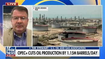 OPEC+ cuts oil production by 1.15M barrels a day