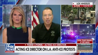 Acting ICE chief vows increases to 'enforcement action' amid LA riots