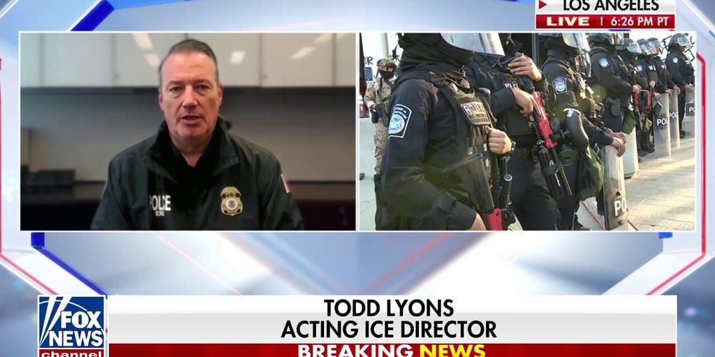 It's 'bad' in LA, acting ICE director says
