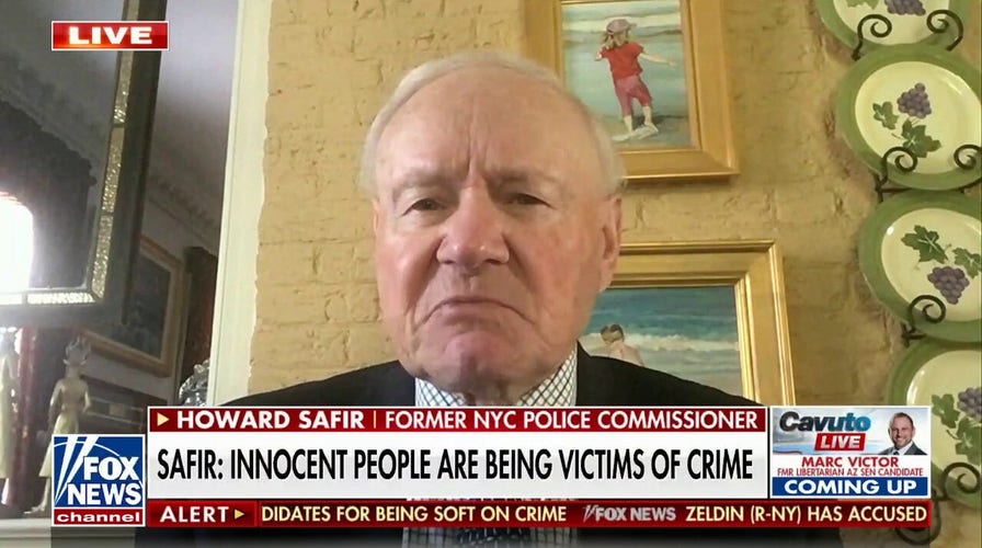 There is a 'turnstile revolving door in the criminal justice system': Howard Safir