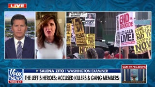 'Normal' Dems find this movement 'incredibly cringeworthy,' reveals reporter - Fox News
