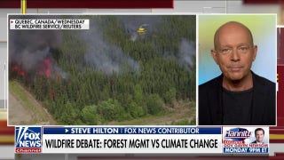 Democrats seize on wildfires to push green agenda - Fox News