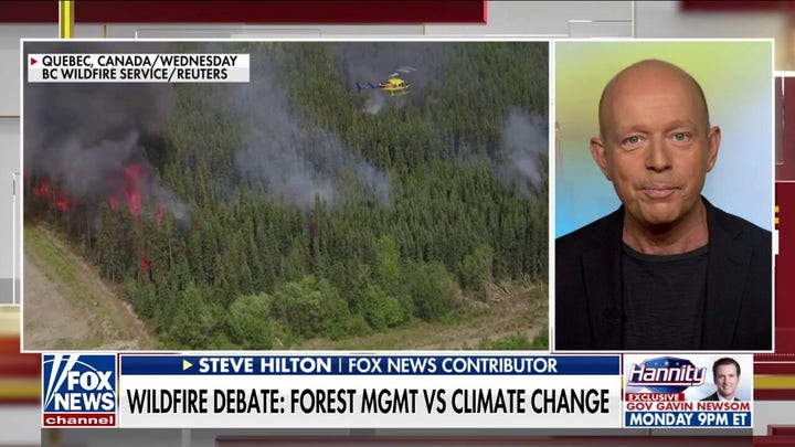 Democrats seize on wildfires to push green agenda