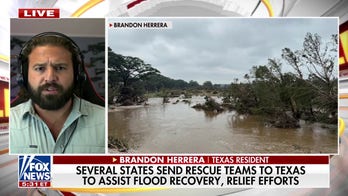 Texas resident describes 'shocking' impact of flash flooding: 'Breaking trees like toothpicks'