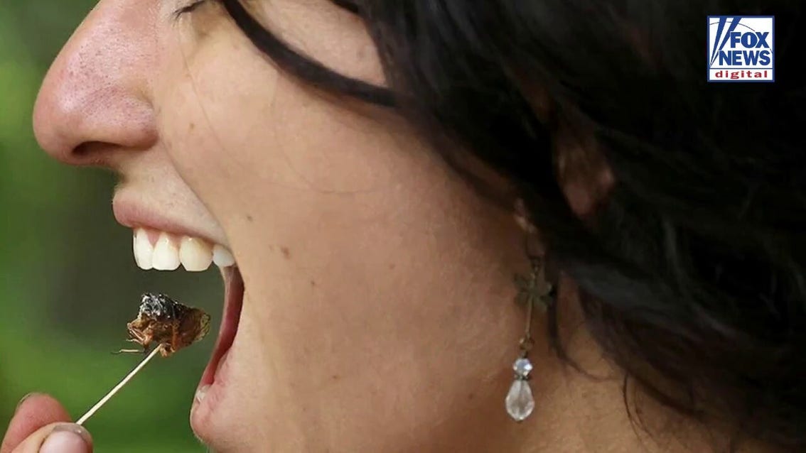 Study finds bug-based bars spark curiosity and outperform cereal snacks