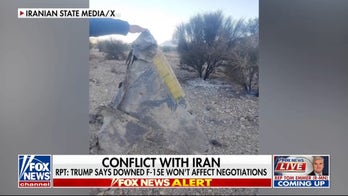 Trump says downed US fighter jet in Iran will not affect negotiations: report