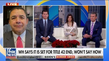 Rep. Henry Cuellar questions Biden's border plan: 'How far do you go?'