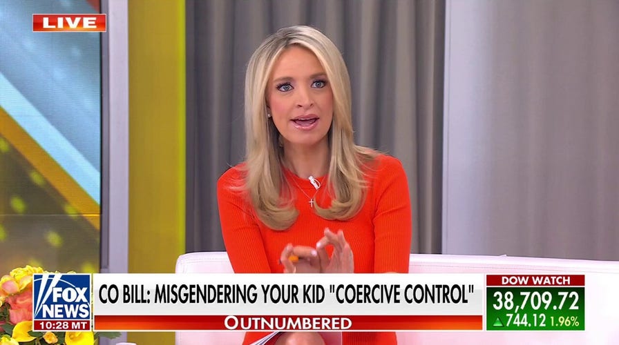 Kayleigh McEnany reacts to 'wild' new Colorado bill: I can't think of anything more Orwellian