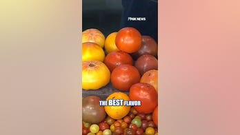 Farmer showcases picture-perfect heirloom tomatoes