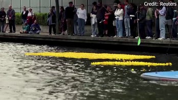 Thousands of rubber duckies float to the finish in London charity race