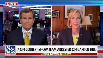 Democratic politicians want Supreme Court justices to be 'intimidated' by overturning Roe v Wade: GOP lawmaker