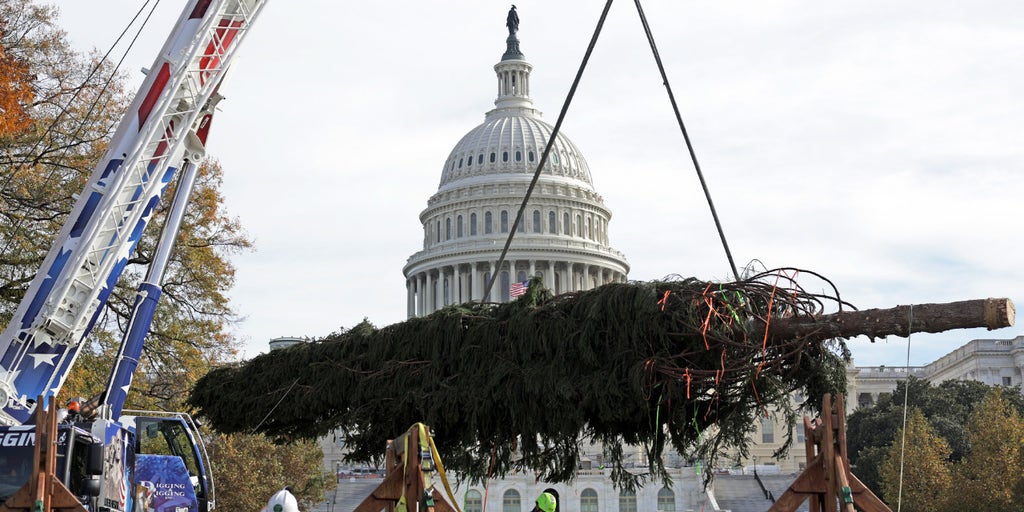 WATCH LIVE: 2025 US Capitol Christmas Tree arrives at Joint Base Andrews