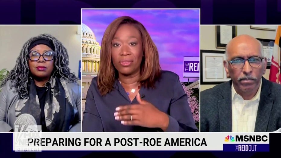 MSNBC guest jokes Justice Alito would ‘sell babies’ if he could