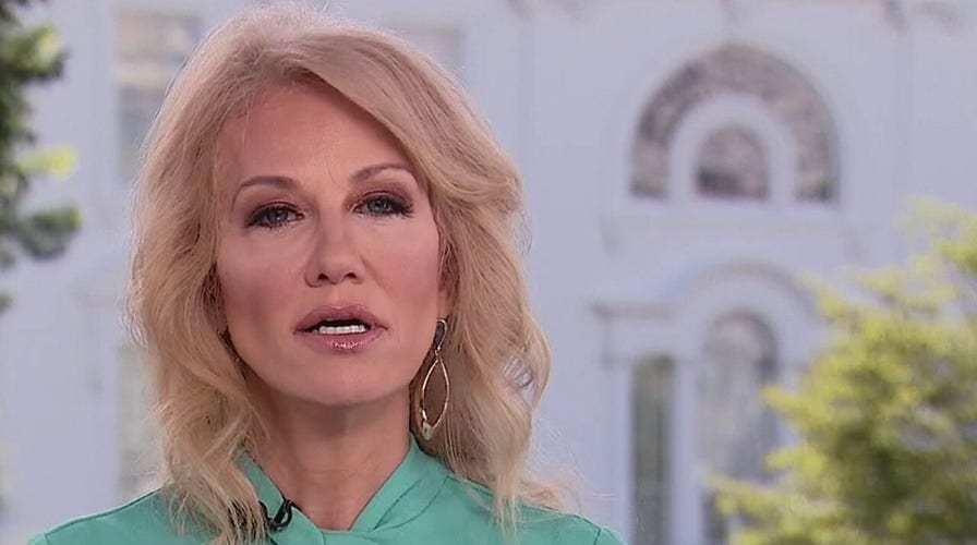 Kellyanne Conway's message to vandals: 'Where is your vote to help people?'
