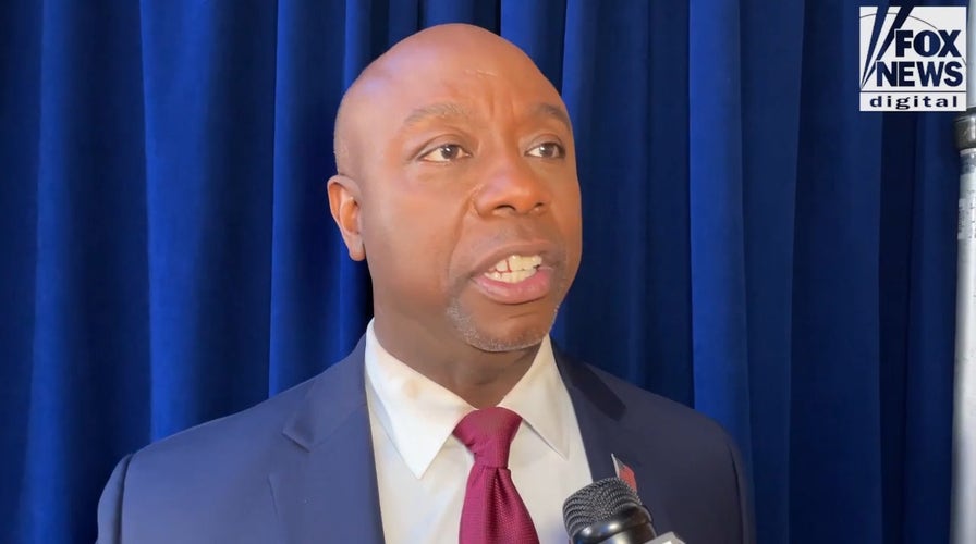 Tim Scott tells Fox News Digital he's 'on the right side' of the abortion issue