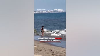Los Angeles fisherman releases SHARK back into ocean