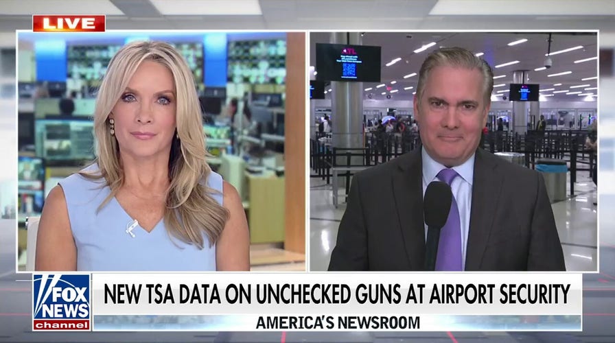 TSA finds more than 3,200 guns at airport security this year alone