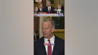 SAVE Act will require photo ID to vote in US elections, Sen. Thune says