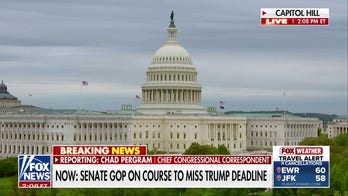 Senate GOP on course to miss Trump deadline to fund ICE and CBP