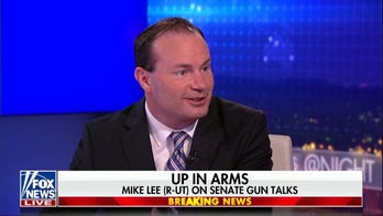 You should go to prison for years for that: Sen. Mike Lee