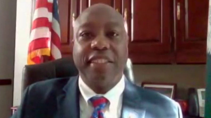 Sen. Tim Scott: US can't tear down history for the sake of anarchy