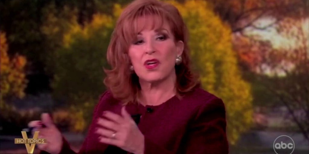 'The View' co-hosts Joy Behar and Alyssa Farah Griffin clash over Democrats' shutdown strategy