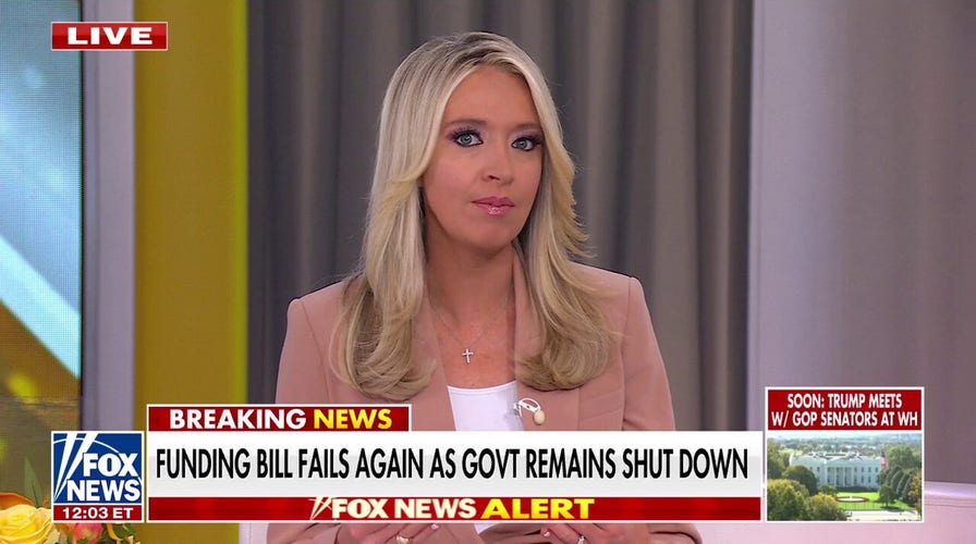 McEnany: Democrats are ‘petrified’ of their left-wing flank