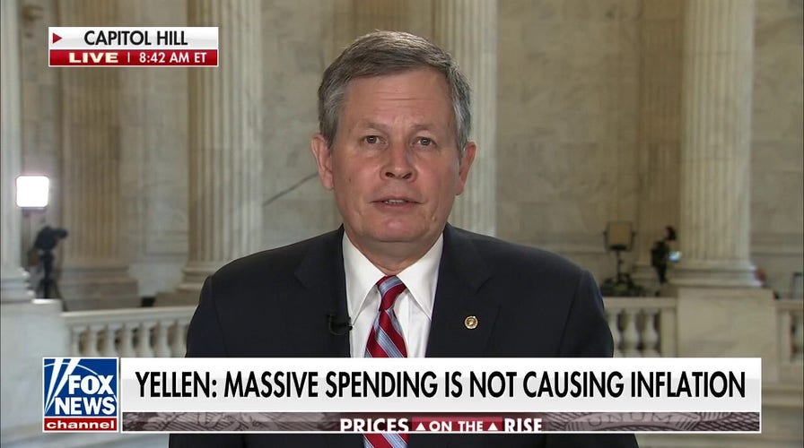Sen. Daines rips Yellen, Democrats on inflation: They 'lit the fire'