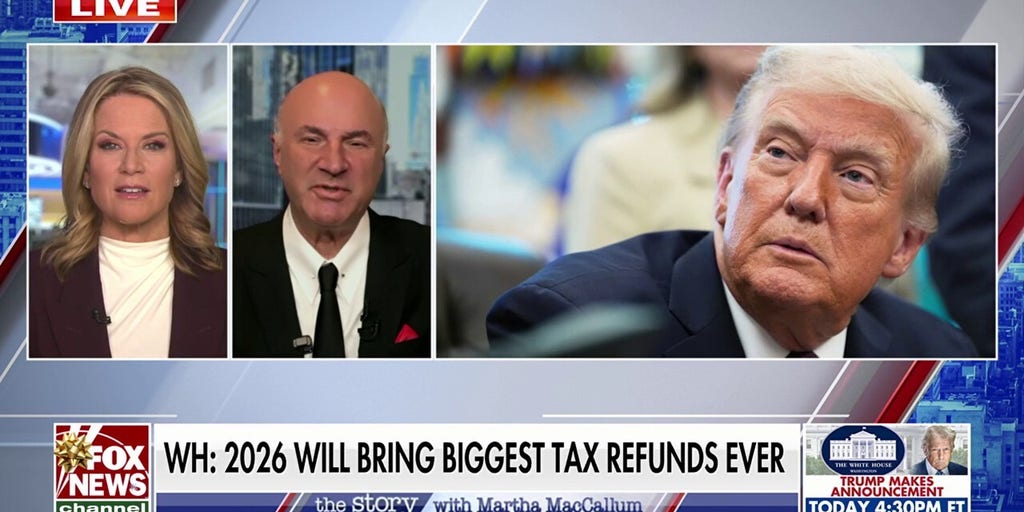Democrats did a 'good job' making affordability an issue, Kevin O'Leary argues