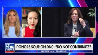 Former DNC fundraiser Lindy Li sounds alarm on party's cash crisis