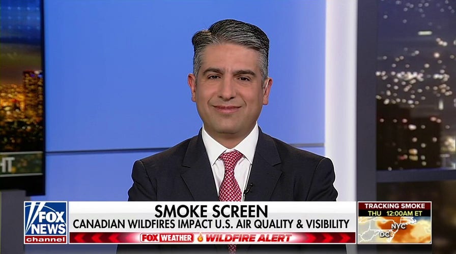 These particulates can cause major respiratory problems: Dr. Houman Hemmati