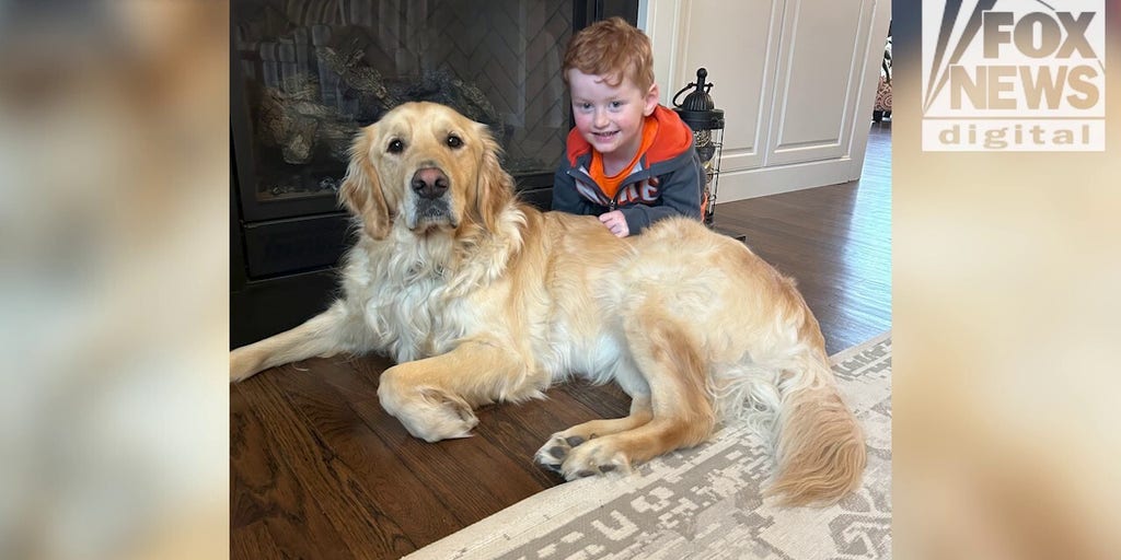 New York mom shares how service dog has transformed her son's life