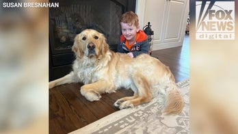 New York mom shares how service dog has transformed her son's life