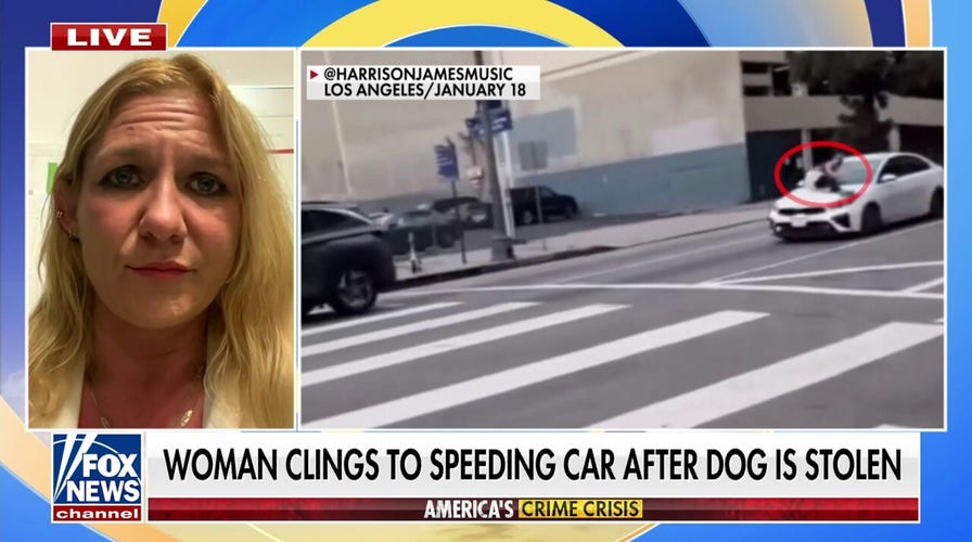 Shocking video shows woman clinging to hood of speeding car after dog was stolen