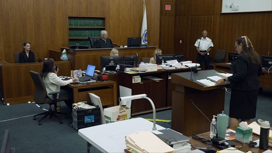 Lindsay Clancy showed linear thinking and expressed no plan to harm children, witness says