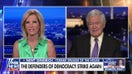 Newt Gingrich: Democrats are either 'rabid socialists' or 'totally negative'