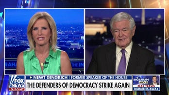 Newt Gingrich: Democrats are either 'rabid socialists' or 'totally negative'