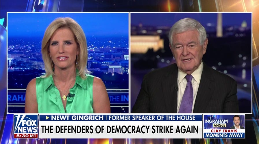 Newt Gingrich: Democrats are either 'rabid socialists' or 'totally negative'